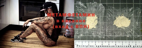 прущие грибы Усмань